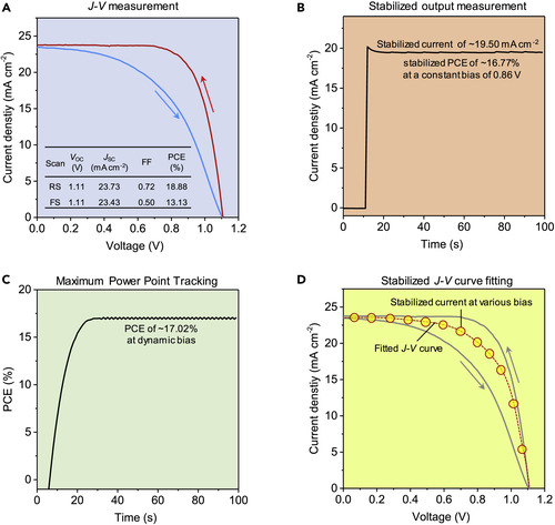 Figure3.jpg